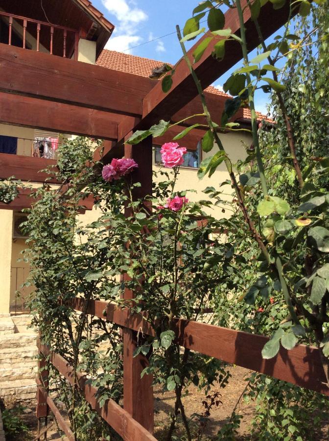Năvodari Villa Rosa מראה חיצוני תמונה