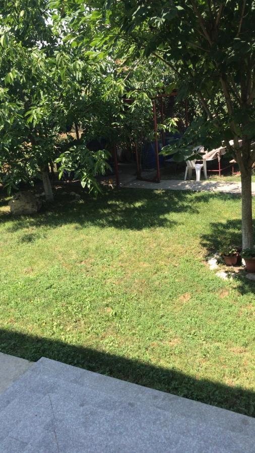 Năvodari Villa Rosa מראה חיצוני תמונה